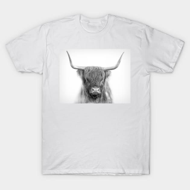 Scottish Highland Cattle T-Shirt by Jim Cumming